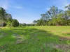 2022 Orara Way, Glenreagh, NSW 2450-Image