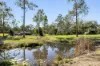 203-207 Wilson Road, Buccan, Qld 4207-Image