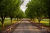 203 Mitchell Road, Table Top, NSW 2640-Image