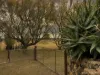2042 Manilla Road, Attunga, NSW 2345-Image