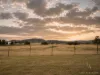 2042 Manilla Road, Attunga, NSW 2345-Image