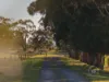205 Hazeldean Road, Yarragon, Vic 3823-Image