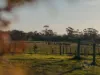 205 Hazeldean Road, Yarragon, Vic 3823-Image