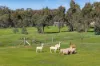 205 Hirds Road, Heathcote, Vic 3523-Image