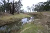 205 Roos Road, Tenterfield, NSW 2372-Image