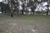 205 Roos Road, Tenterfield, NSW 2372-Image