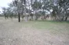 205 Roos Road, Tenterfield, NSW 2372-Image