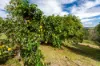 206 Amamoor Dagun Road, Amamoor, Qld 4570-Image