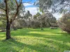 207 BLACKERS ROAD, Narrawong, Vic 3285-Image