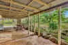 207 Whites Road, Homeleigh, NSW 2474-Image