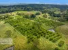 207 Whites Road, Homeleigh, NSW 2474-Image