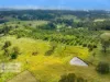 207 Whites Road, Homeleigh, NSW 2474-Image