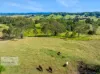 207 Whites Road, Homeleigh, NSW 2474-Image