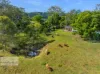 207 Whites Road, Homeleigh, NSW 2474-Image