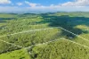 208 Archer Road, Struck Oil, Qld 4714-Image