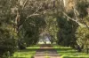 21-49 Yarram Creek Lane, Swan Bay, Vic 3225-Image