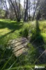 21 Bush Haven Drive, Port Sorell, Tas 7307-Image