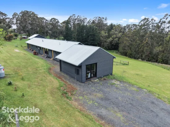 21 Castle Street, Mirboo North, Vic 3871