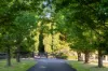 21 Charltons Creek Road, Berrilee, NSW 2159-Image
