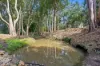 21 Chittaway Road, Ourimbah, NSW 2258-Image