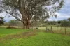 21 Grays Lane, Osbornes Flat, Vic 3691-Image
