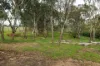 21 Grays Lane, Osbornes Flat, Vic 3691-Image