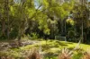 21 Martha Ruddy Way, Tallebudgera, Qld 4228-Image
