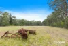 21 Mimosa Park Road, Morton, NSW 2538-Image