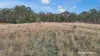 210 Chapmans Road, Bahgallah, Vic 3312-Image