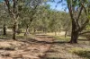 210 Goombungee-Mount Darry Road, Kilbirnie, Qld 4354-Image