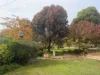 210 Harrisons Back Road, Moonambel, Vic 3478-Image