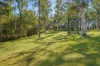 211 Pembrooke Road, Redbank, NSW 2446-Image
