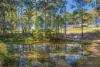211 Pembrooke Road, Redbank, NSW 2446-Image