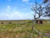 211 Rathjen Road, Palmer, SA 5237-Image