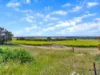 211 Rathjen Road, Palmer, SA 5237-Image