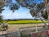 211 Rathjen Road, Palmer, SA 5237-Image