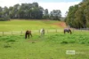 21155 South Western Highway, Mullalyup, WA 6252-Image