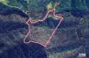 213 Murrabrine Forest Road, Yowrie, NSW 2550-Image