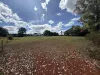 213 Nanango Neumgna Road, South Nanango, Qld 4615-Image
