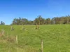 215 Fraser Spur Road, Neerim East, Vic 3831-Image