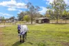 216-230 Vonda Youngman Drive, Tamborine, Qld 4270-Image