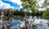 218 Stage Coach Road, Batar Creek, NSW 2439-Image