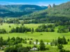 219 Stony Chute Road, Nimbin, NSW 2480