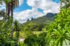 219 Stony Chute Road, Nimbin, NSW 2480-Image