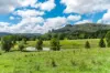 219 Stony Chute Road, Nimbin, NSW 2480-Image