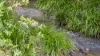 219 Stony Chute Road, Nimbin, NSW 2480-Image