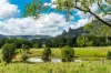 219 Stony Chute Road, Nimbin, NSW 2480-Image