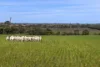 22 Hillside Road, Belvidere, SA 5255-Image