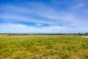 22 Hillside Road, Belvidere, SA 5255-Image