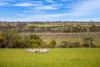 22 Hillside Road, Belvidere, SA 5255-Image